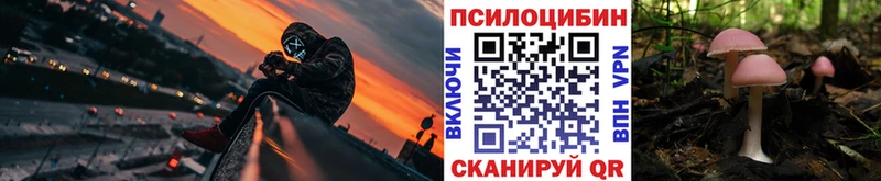 где можно купить   кракен как зайти  Галлюциногенные грибы MAGIC MUSHROOMS  Байкальск 